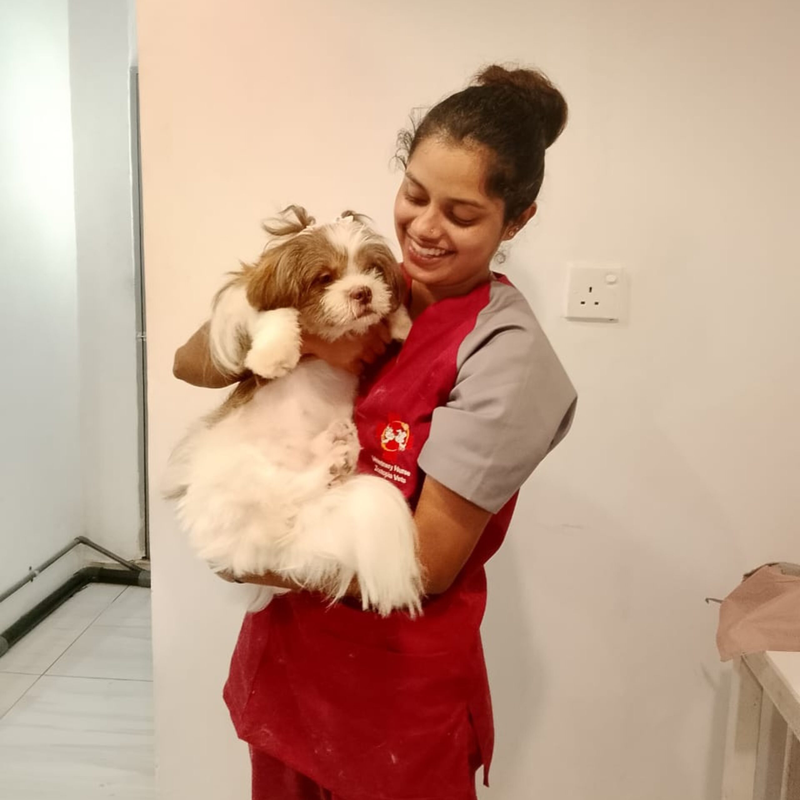 Zootopia Vets – grooming and handling