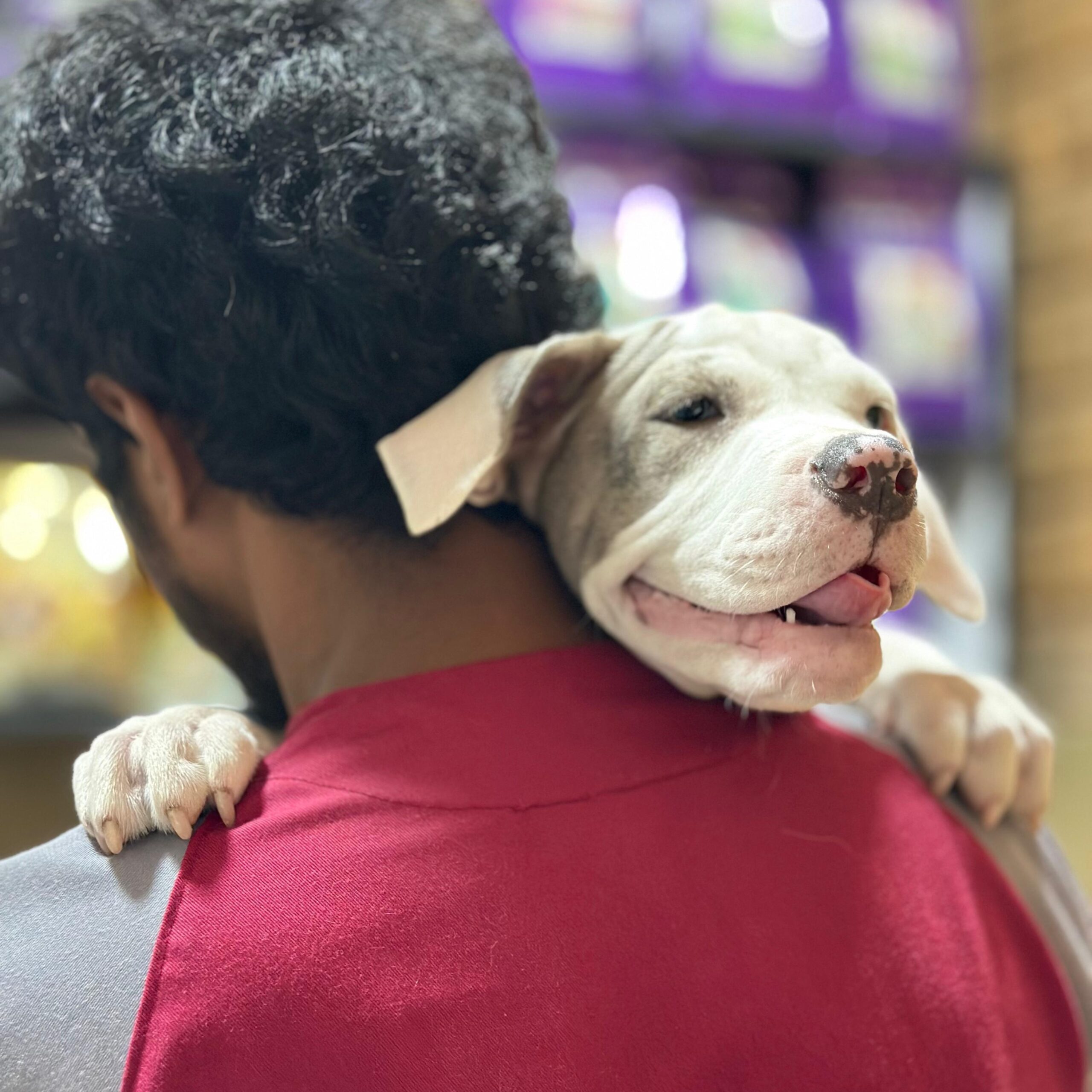 Zootopia Vets Nugegoda – pet owners with their pets