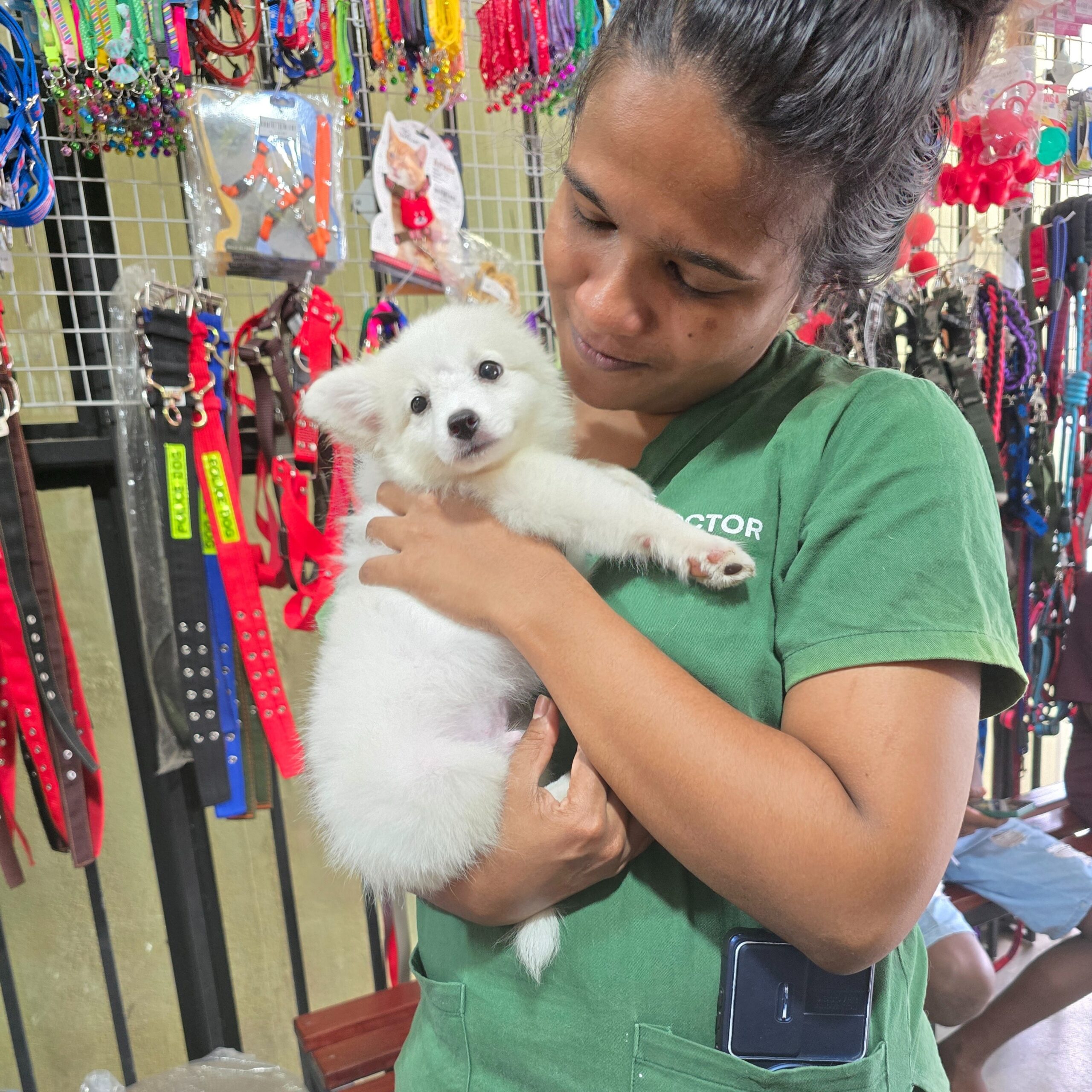 Zootopia Vets – caring for dogs and cats in Sri Lanka