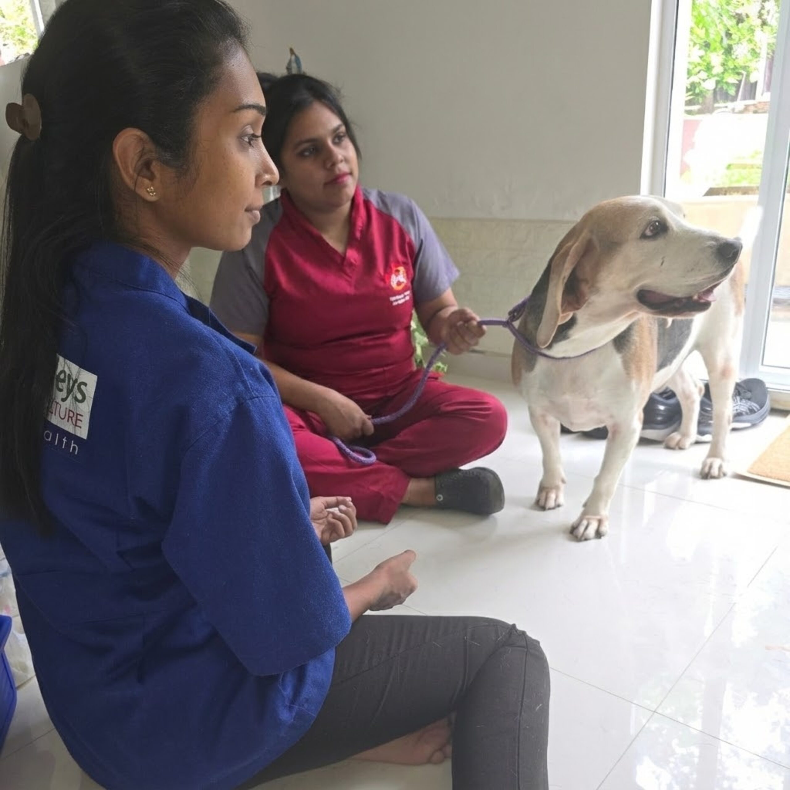 Vet House Visits by Zootopia Vets